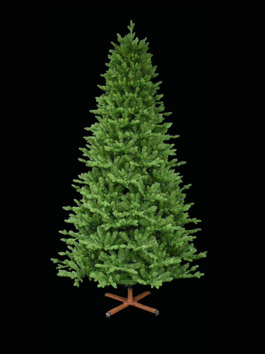 Balsam Fir 7.5'